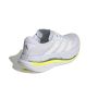 Adistar Byd 2 4