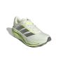 Adistar Byd 2 3