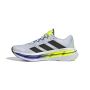 Adistar Byd 2