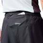 Cascadia Short 4