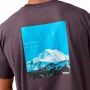 Graphic Short Sleeve 4