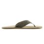Terrar Toe 1