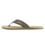Terrar Toe 2