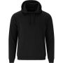 Arlanc Hoody 1