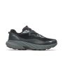 Agility Trail WP 1