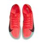 Dragonfly 2 Elite 6