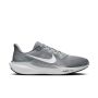 Pegasus 41 1