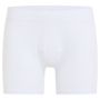 Active Light Boxer 1
