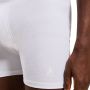 Active Light Boxer 6