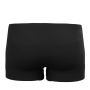 Merino PW 140 Seamless Panty 2