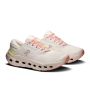 Cloudrunner 3 3
