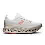 Cloudsurfer Max 1