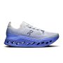 Cloudsurfer Max 1