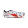 Evospeed Star 8 1
