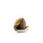 Motus Flex Natural 6