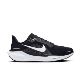 Pegasus 41