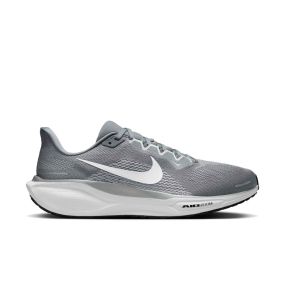 Pegasus 41