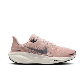 Pegasus 41