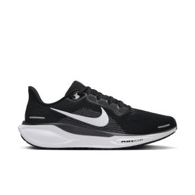 Pegasus 41