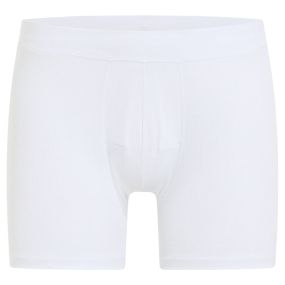Active Light Boxer