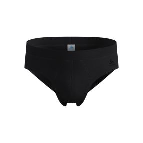 Active Light Brief