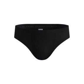 Performance Light Brief