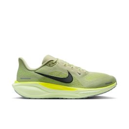 Pegasus 41