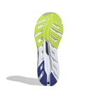 Adistar Byd 4