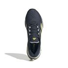 Adistar Byd 3