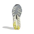 Adistar Byd 4