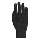 Terrex Cold Ready Gloves 2