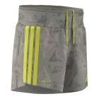 Labrum Gel Shorts 2