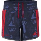 Labrum Gel Shorts 1