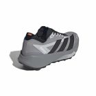 Terrex Agravic GTX 2 4