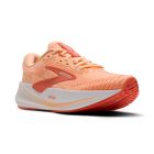 Revel Max 6