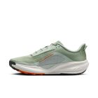 ACG Pegasus Trail 2