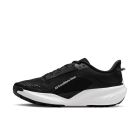 ACG Pegasus Trail 2
