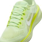 Pegasus 41 3
