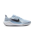Pegasus 41 1