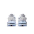Pegasus Premium 4