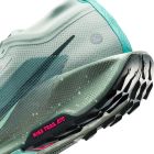 Pegasus Trail 5 GTX 5