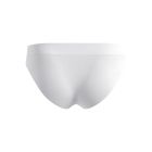 Performance Light Brief 2