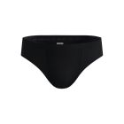 Performance Light Brief 1