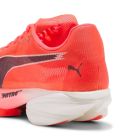 Fast-R Nitro Elite 3 5