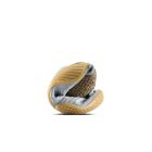 Motus Flex Natural 5