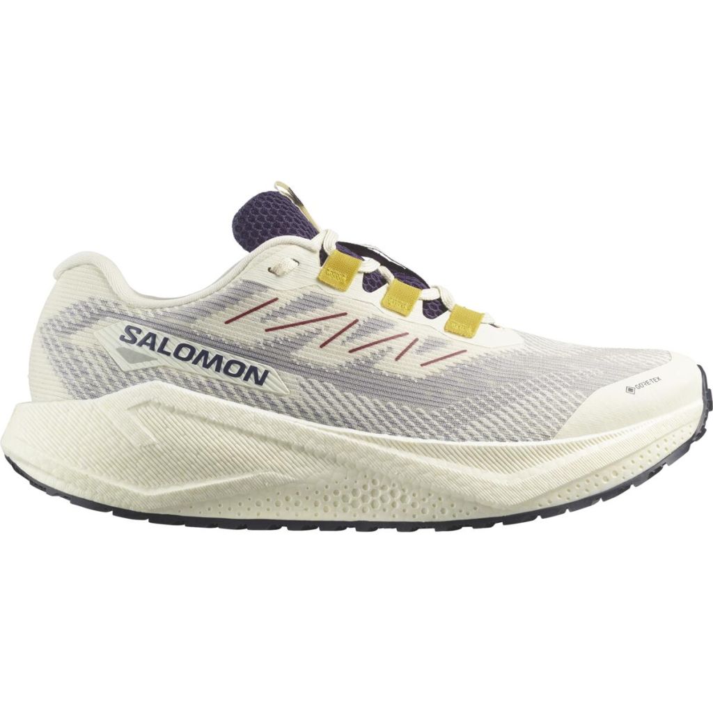 Salomon Aero Blaze 3 Gravel GTX Schuhe Herren beige 48.0