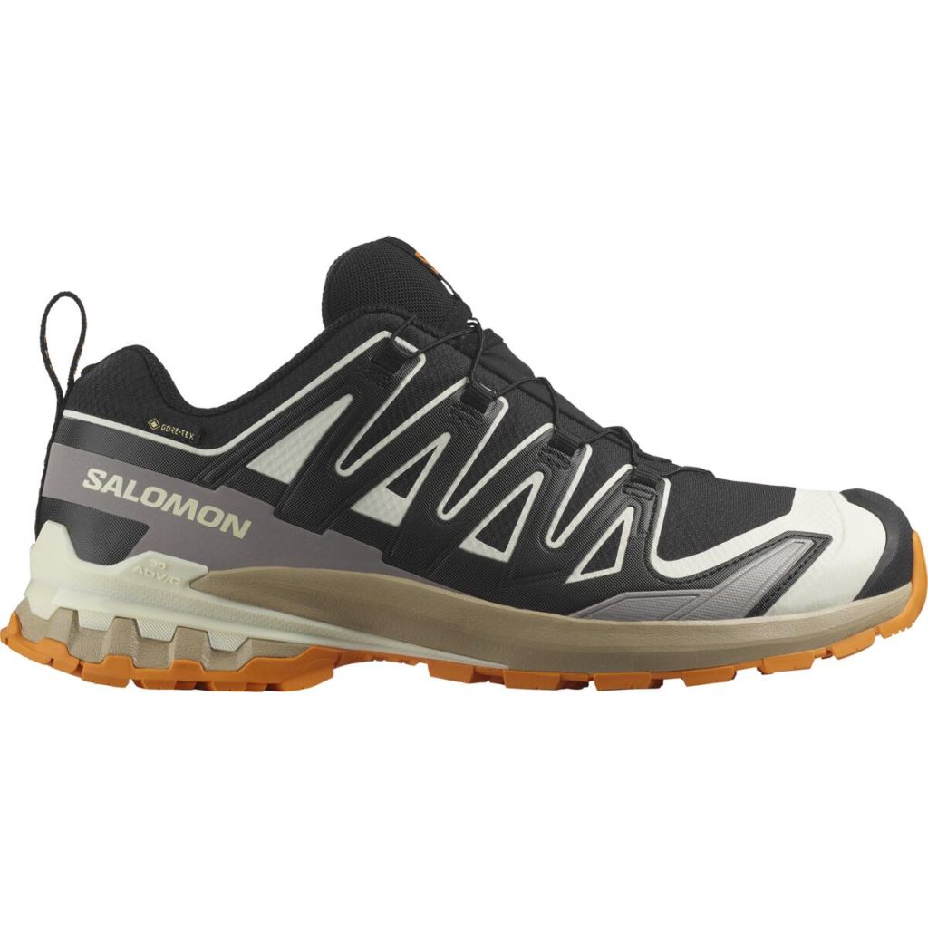 Salomon Xa Pro 3D V9 GTX Schuhe Herren schwarz 44.6